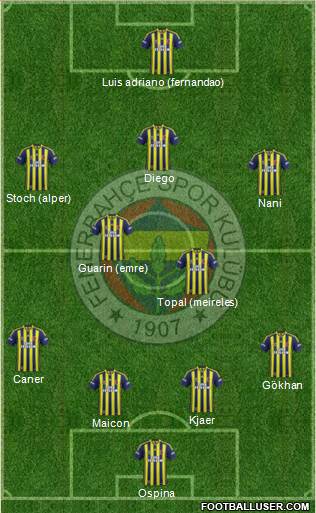 Fenerbahçe SK Formation 2015
