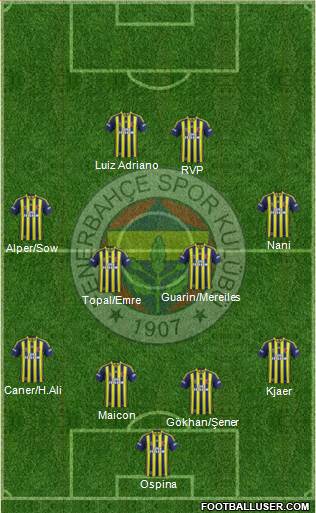 Fenerbahçe SK Formation 2015