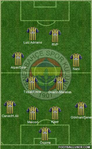 Fenerbahçe SK Formation 2015