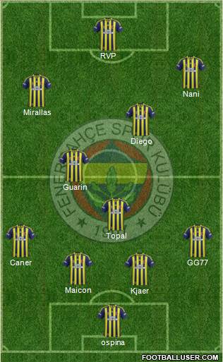 Fenerbahçe SK Formation 2015