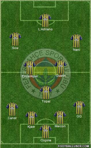 Fenerbahçe SK Formation 2015