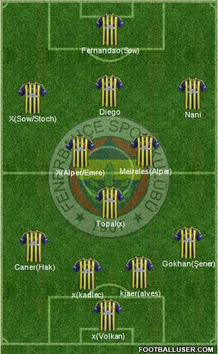 Fenerbahçe SK Formation 2015