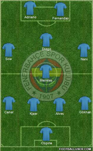 Fenerbahçe SK Formation 2015