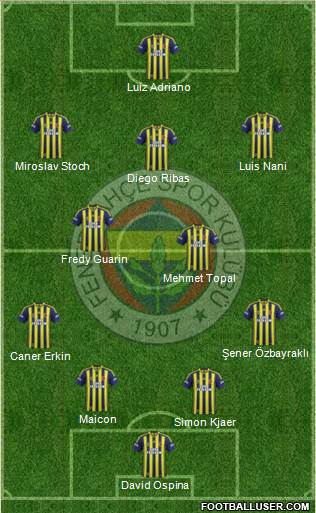 Fenerbahçe SK Formation 2015