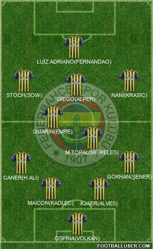 Fenerbahçe SK Formation 2015