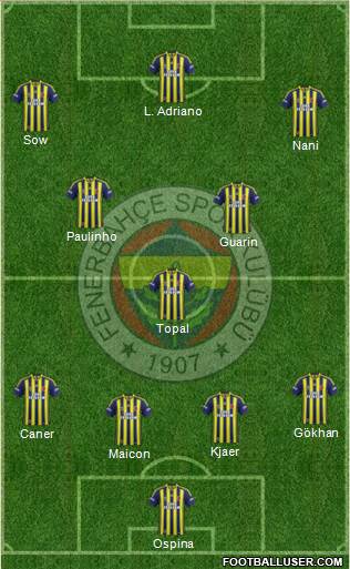 Fenerbahçe SK Formation 2015