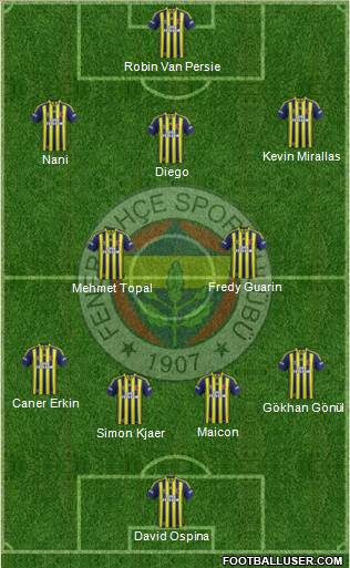 Fenerbahçe SK Formation 2015