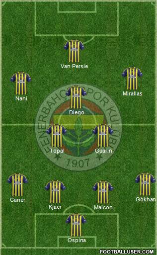 Fenerbahçe SK Formation 2015