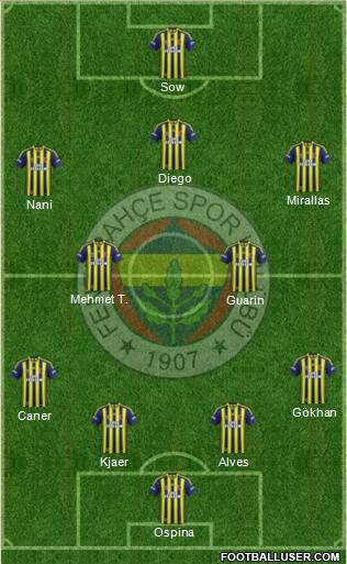 Fenerbahçe SK Formation 2015