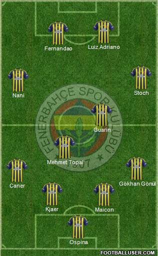 Fenerbahçe SK Formation 2015