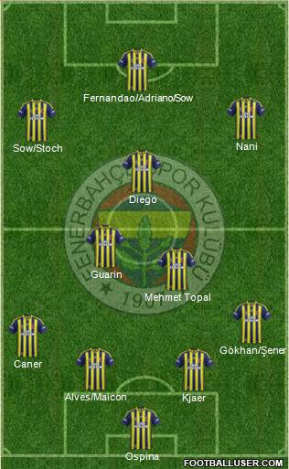 Fenerbahçe SK Formation 2015