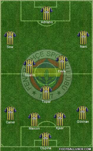 Fenerbahçe SK Formation 2015