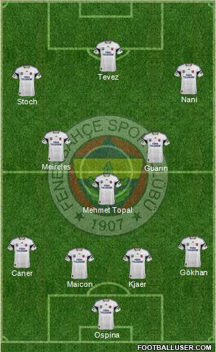 Fenerbahçe SK Formation 2015