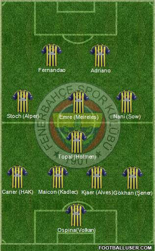 Fenerbahçe SK Formation 2015