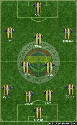 Fenerbahçe SK Formation 2015