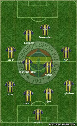 Fenerbahçe SK Formation 2015