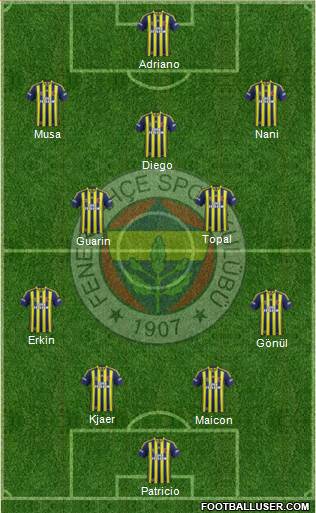Fenerbahçe SK Formation 2015