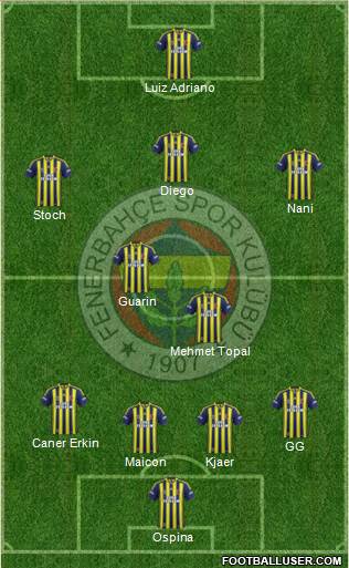 Fenerbahçe SK Formation 2015