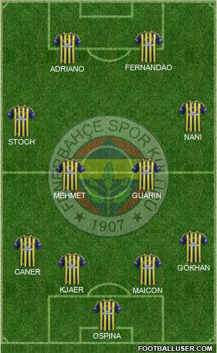 Fenerbahçe SK Formation 2015