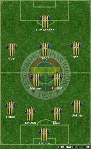 Fenerbahçe SK Formation 2015
