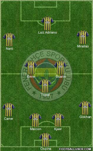Fenerbahçe SK Formation 2015