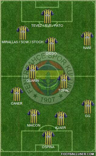 Fenerbahçe SK Formation 2015