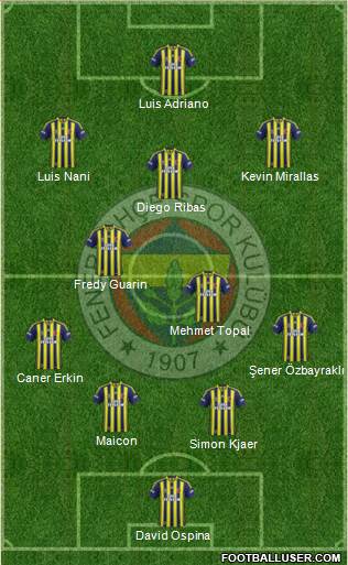 Fenerbahçe SK Formation 2015
