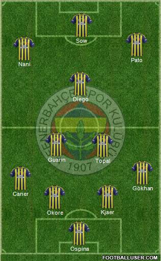 Fenerbahçe SK Formation 2015