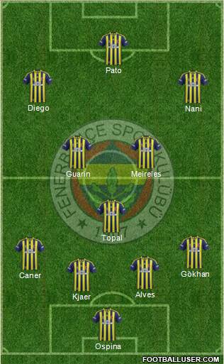Fenerbahçe SK Formation 2015