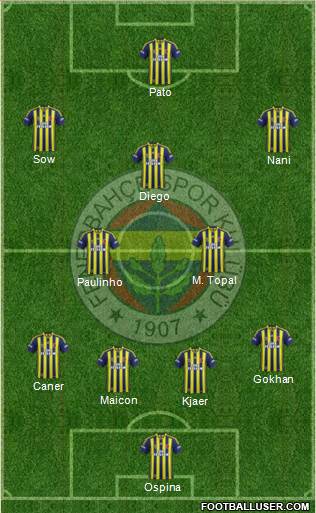 Fenerbahçe SK Formation 2015