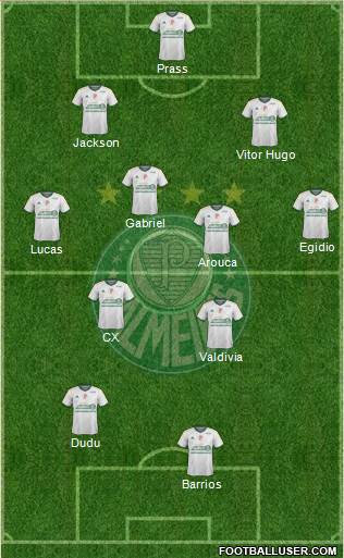 SE Palmeiras Formation 2015