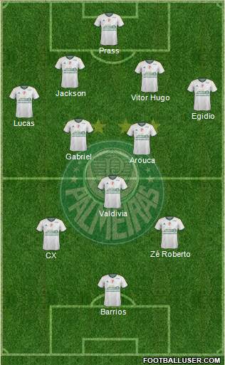 SE Palmeiras Formation 2015