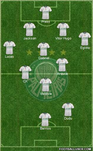 SE Palmeiras Formation 2015