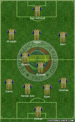 Fenerbahçe SK Formation 2015
