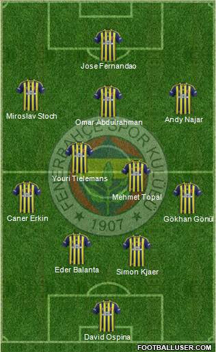 Fenerbahçe SK Formation 2015