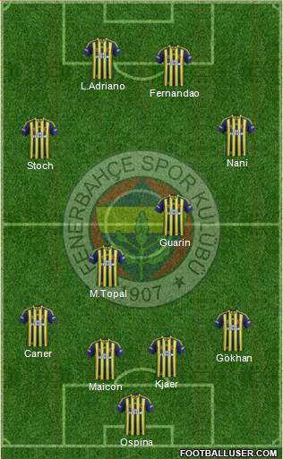 Fenerbahçe SK Formation 2015