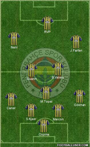 Fenerbahçe SK Formation 2015