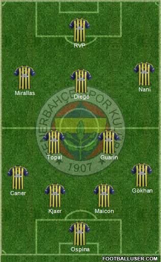 Fenerbahçe SK Formation 2015