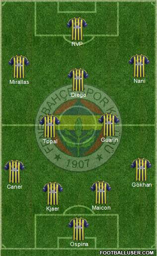 Fenerbahçe SK Formation 2015