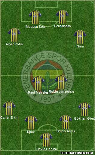 Fenerbahçe SK Formation 2015