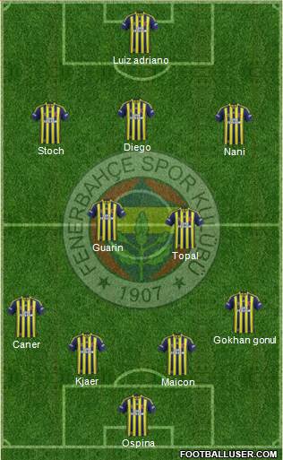 Fenerbahçe SK Formation 2015