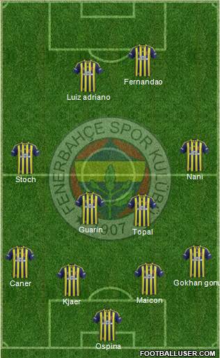 Fenerbahçe SK Formation 2015