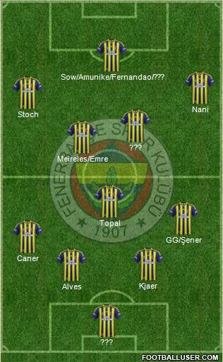 Fenerbahçe SK Formation 2015