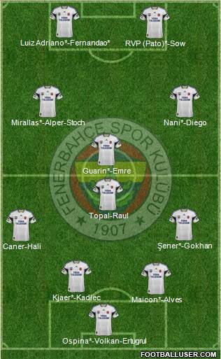 Fenerbahçe SK Formation 2015