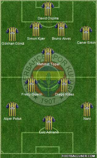 Fenerbahçe SK Formation 2015