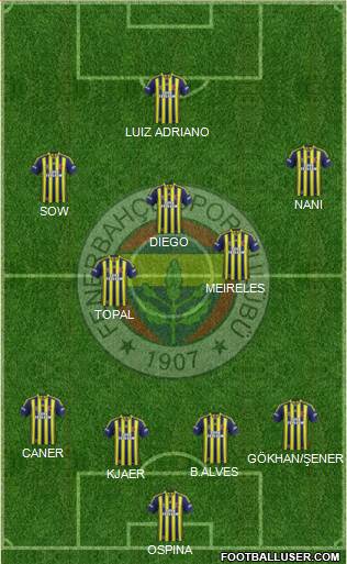 Fenerbahçe SK Formation 2015