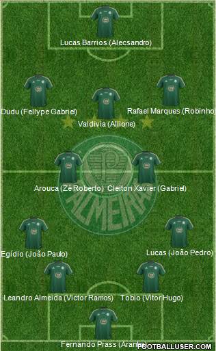 SE Palmeiras Formation 2015