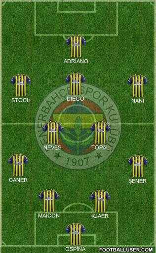Fenerbahçe SK Formation 2015