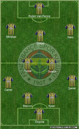 Fenerbahçe SK Formation 2015