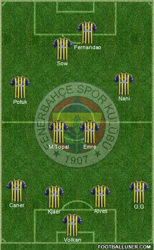 Fenerbahçe SK Formation 2015